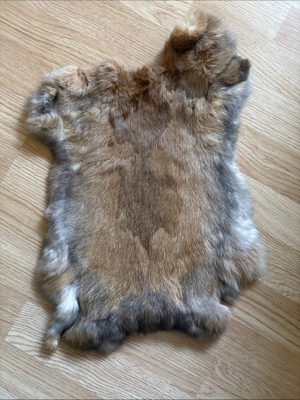 B0087 Natural Brown Rabbit Fur Hide